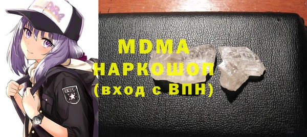 хмурый Аркадак