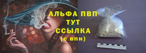 хмурый Аркадак