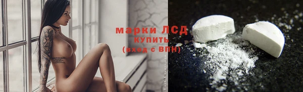 хмурый Аркадак