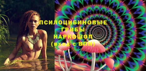 хмурый Аркадак