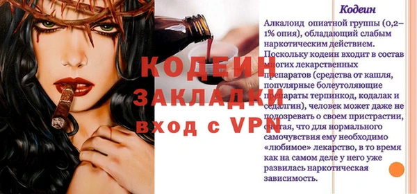 хмурый Аркадак
