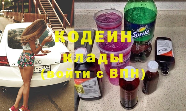 хмурый Аркадак