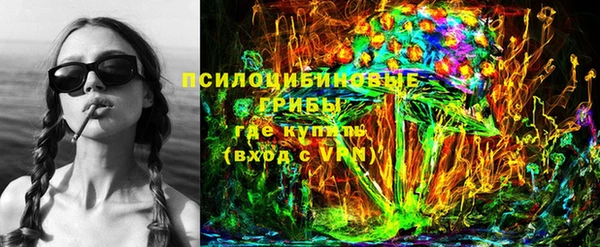 хмурый Аркадак