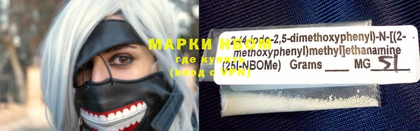 хмурый Аркадак