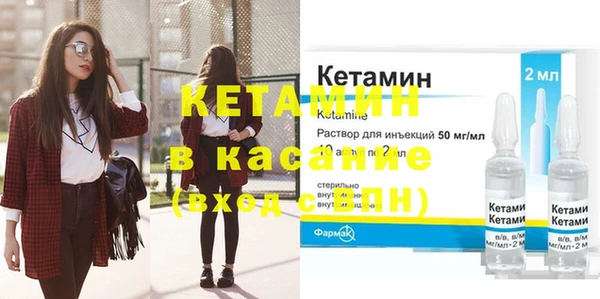 хмурый Аркадак
